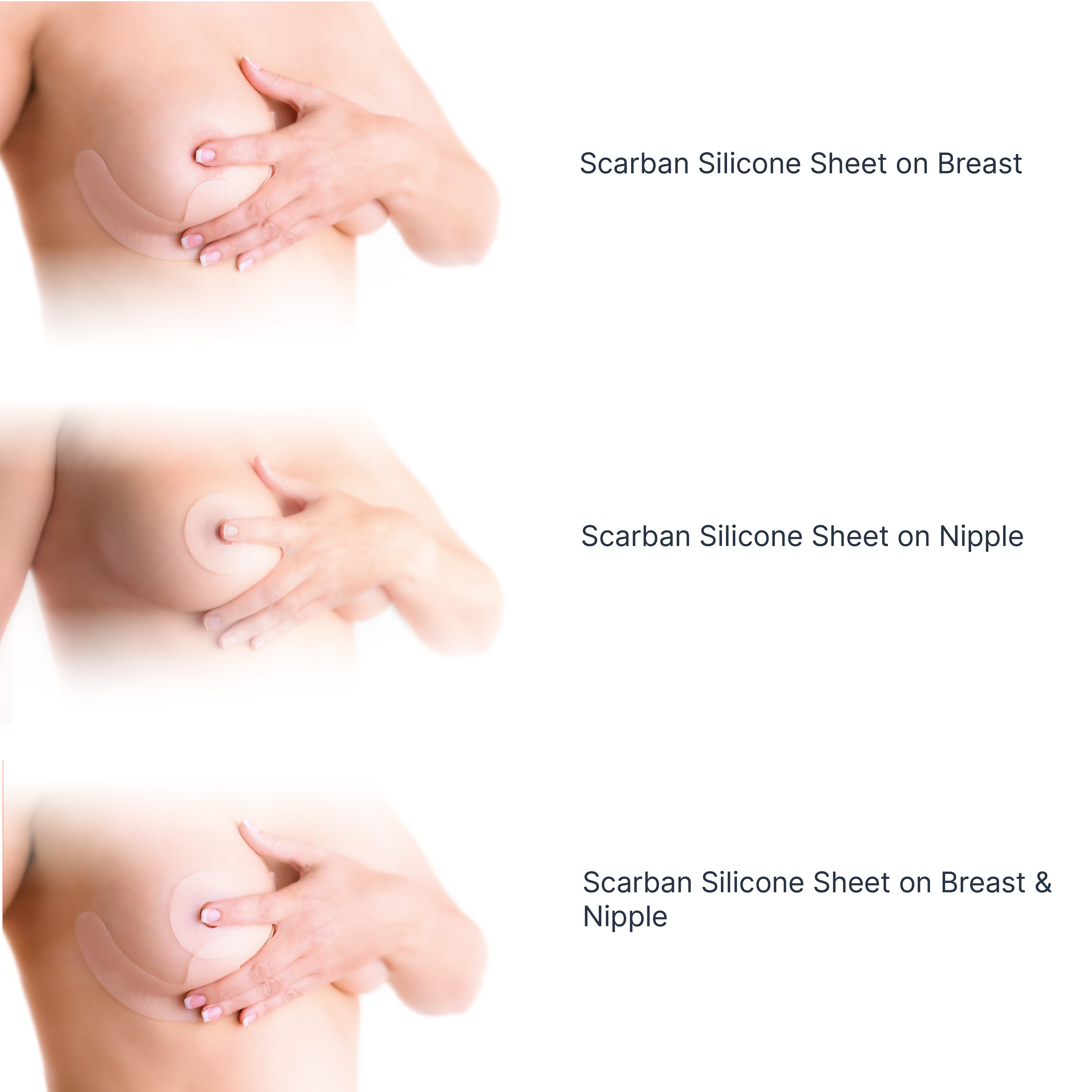 Scarban Elastic sheet 02 01