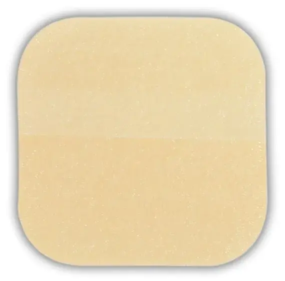 22170060 tms 1754619999595132 tms