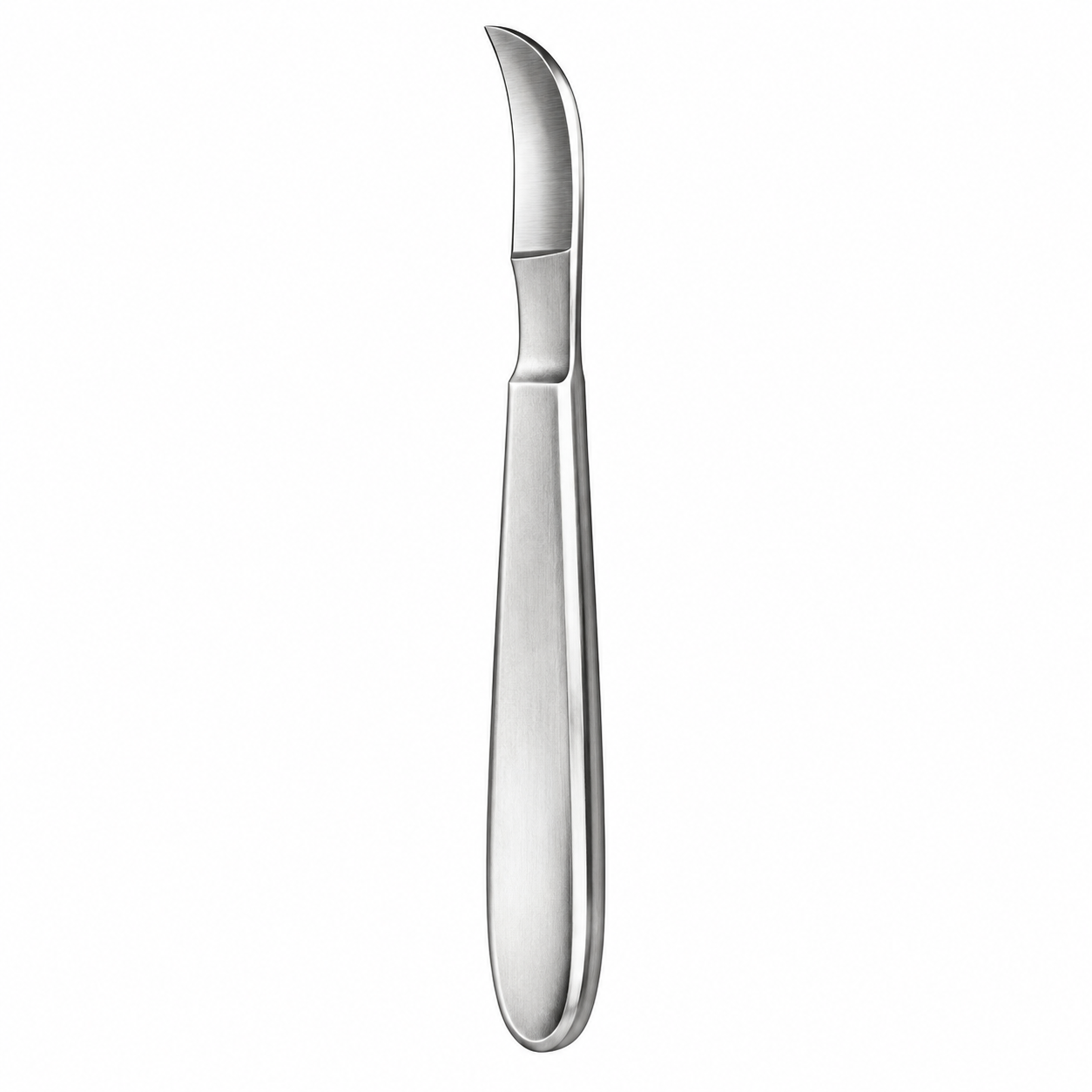 Plaster Knife Reiner