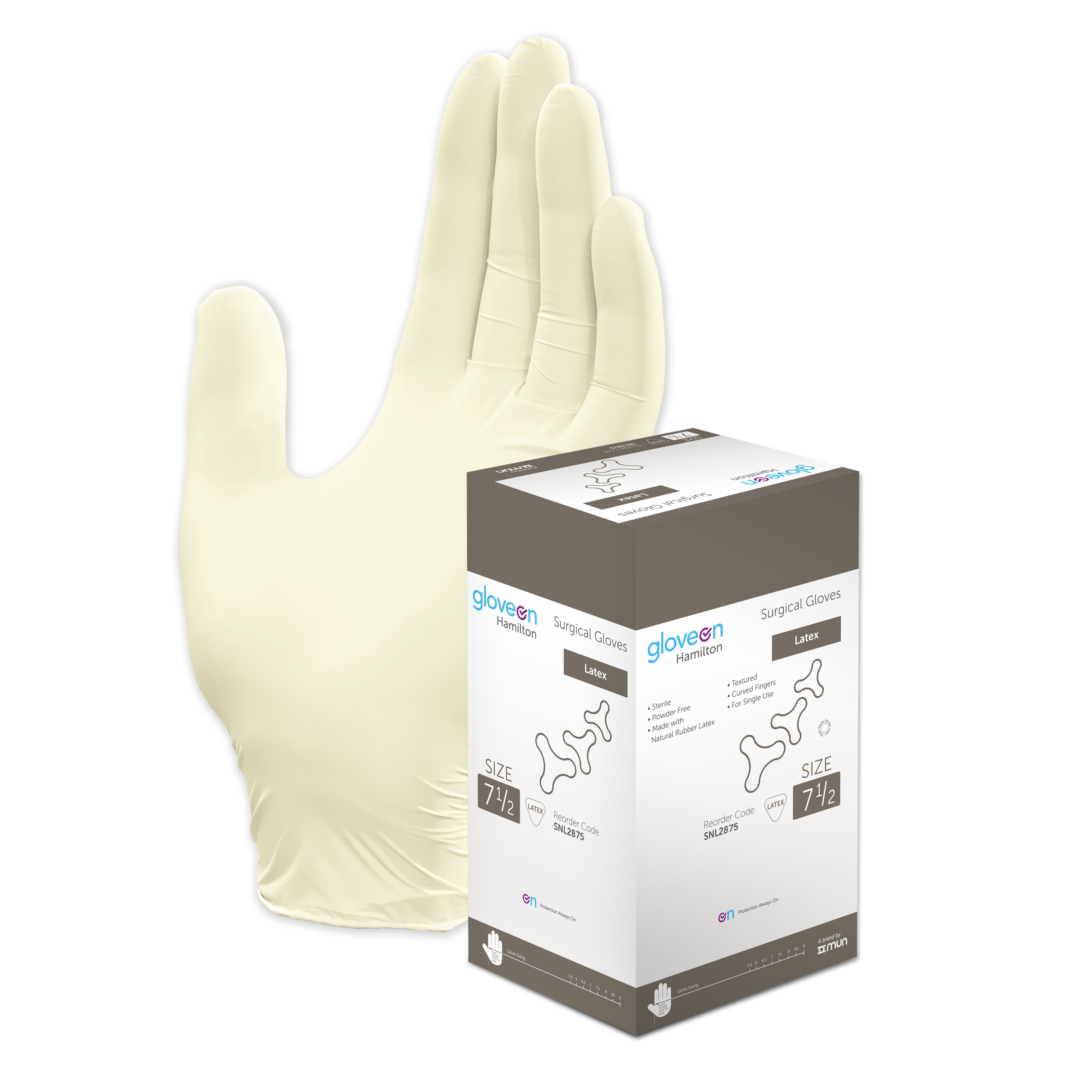 Hamilton box and glove 7 5