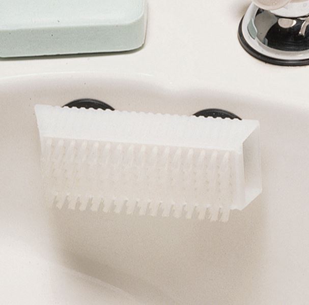 Economy Suction Brush
