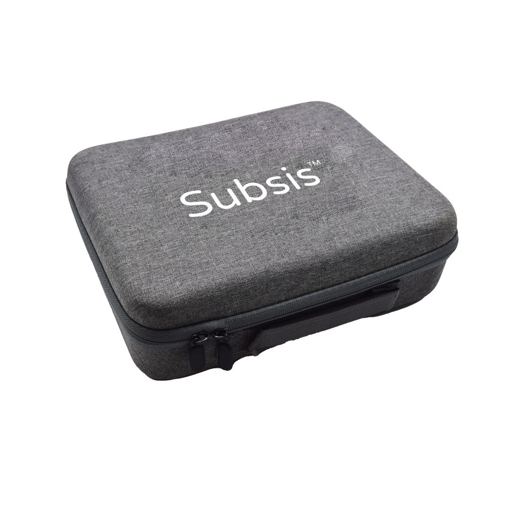 Subsiss case