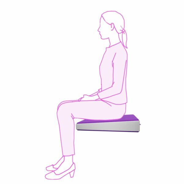 134 Posture Wedge Render